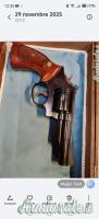 Smith Wesson 19.3