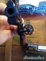 Colt Python .357 Magnum  |  9x31mmR  | .353 Casull