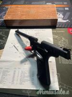 Colt Targetsman .22 LR Long Rifle