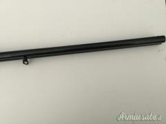 SALVINELLI Cani esterni 20