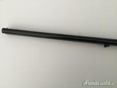 SALVINELLI Cani esterni 20