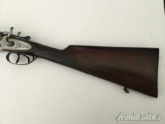 SALVINELLI Cani esterni 20