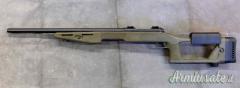 Savage 10 Predator .308 Winchester