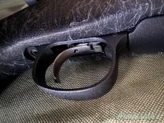 Remington 700 long range .300 Winchester Magnum