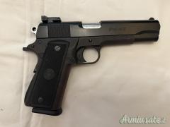 Para Ordnance P14-45 .45 ACP