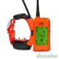 Dogtrace DOG GPS X25 | Collare elettronico da addestramento con GPS