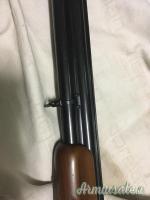 scambio fucili con altri  aria compressa -leggere bene