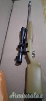 Remington 700 .243 Winchester