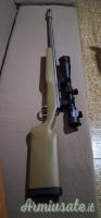 Remington 700 .243 Winchester