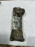 CARABINA M1 -  ACCESSORI E RICAMBI