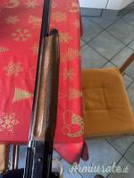Benelli Raffaello  12