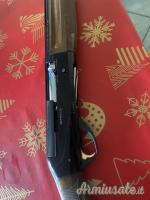 Benelli Raffaello  12