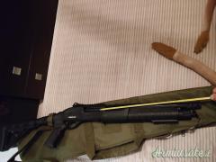 ...Altro | Non elencato Lions 12