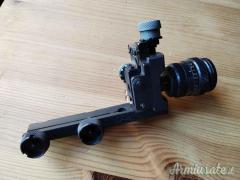 Diottra completa Anschutz