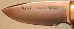 Coltello Muela Gavilan