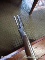 Fucile guardia nazionale Cal 17