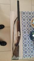 Beretta Silver Pigeon S -  Cal. 20 (Sovrapposto)