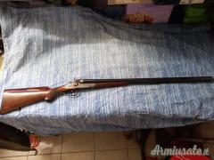 Daffini cani esterni 12