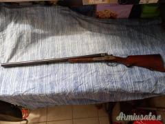 Daffini cani esterni 12