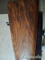 Piotti Armi Phee lusso 12