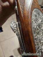 Piotti Armi Phee lusso 12