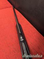 Benelli Argo Endurance .300 Winchester Magnum