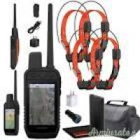 Pacchetto originale Alpha 300 GPS Portatile / TT25 conveniente.