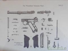 Stampe armi - vari soggetti