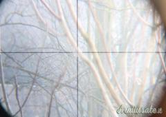 Ottica Leupold   VX-II  6-19X40