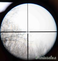 Ottica Leupold   4x12 Vari-X II c