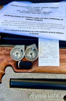 KARL ARMS Puncher PCP 4,5 mm 7,5 J + Pompa BSA  Nuova