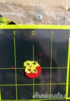Accuracy Fx 5.5