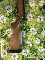 Gamo Forest  4.5/.177