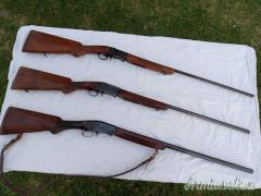 ...Altro | Non elencato 12 28 36 30-06 ...Altro