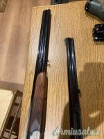 Zoli Antonio Sovrapposto  12