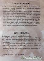 Attacco rapido  monoanello