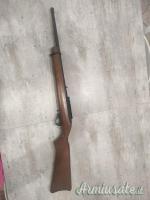 Ruger 10/22 22lr
