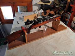 Beretta waterby .22 Long Rifle