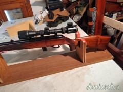 Beretta waterby .22 Long Rifle