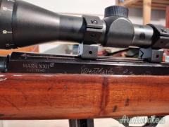 Beretta waterby .22 Long Rifle
