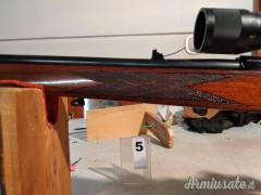 Beretta waterby .22 Long Rifle