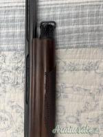 Benelli Raffaello 28