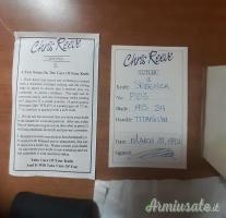 Coltello Chris Reeve + Coltello Sog