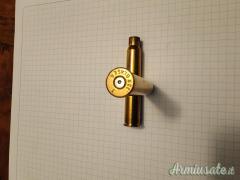 Bossoli .30 R BLASER