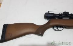 Gamo Big Cat