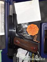 Colt Government  .45 ACP