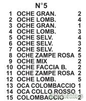 Scheda Oche N°5 Plurifon