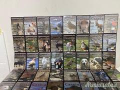 DVD DI CACCIA