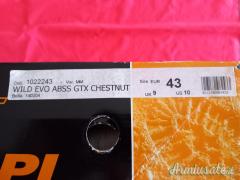 Scarponi Crispi wild evo abss gtx chestnut n°43