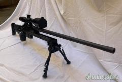 Sauer 205 phantom .308 Winchester